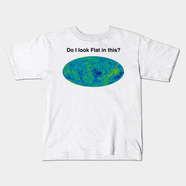 Do I look Flat in this? Kids T-Shirt by hereticwear